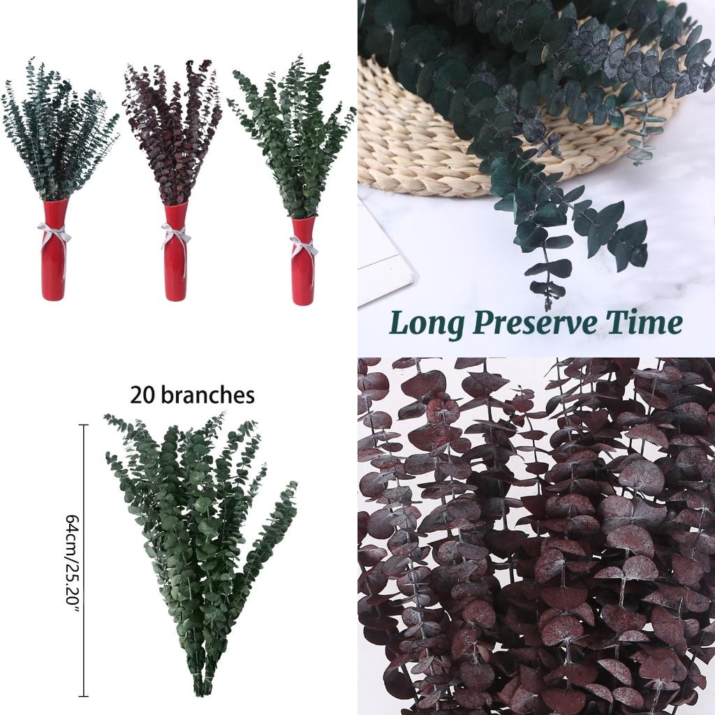 Eucalyptus Preserved - Bouquet feuilles plantes conservées pour Branches