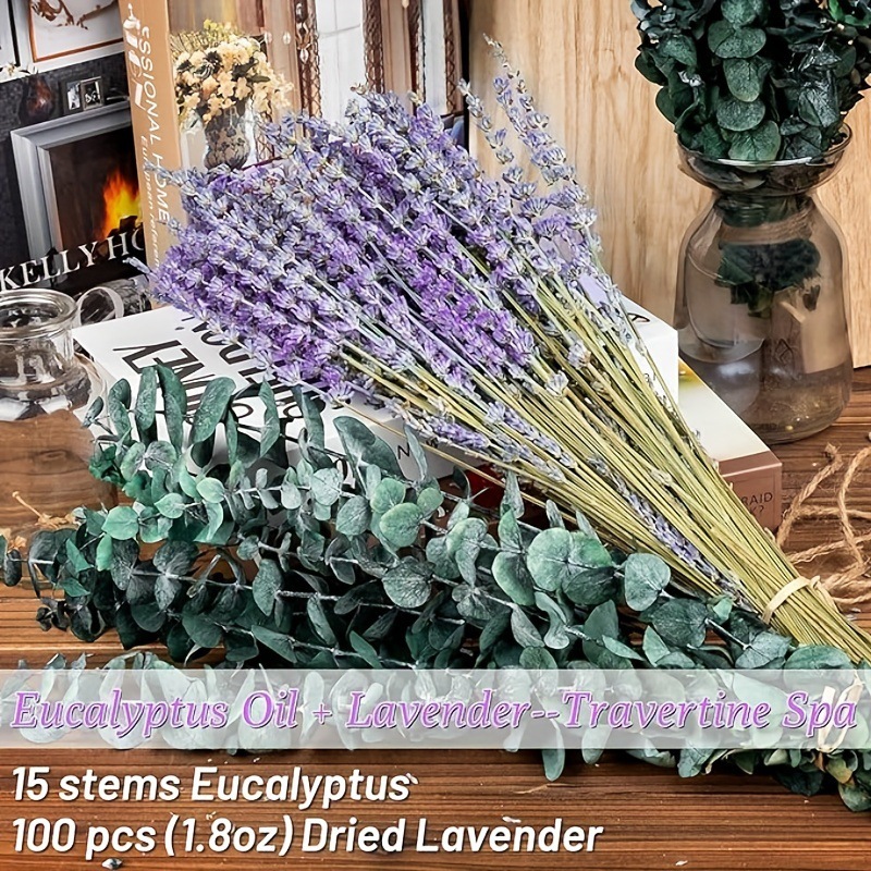 Eucalyptus Preserved - Bouquet Séché de Lavande et d'Eucalyptus
