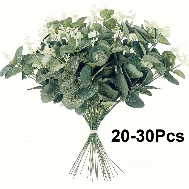 Tiges de feuilles d'eucalyptus - Eucalyptus Preserved avis et prix