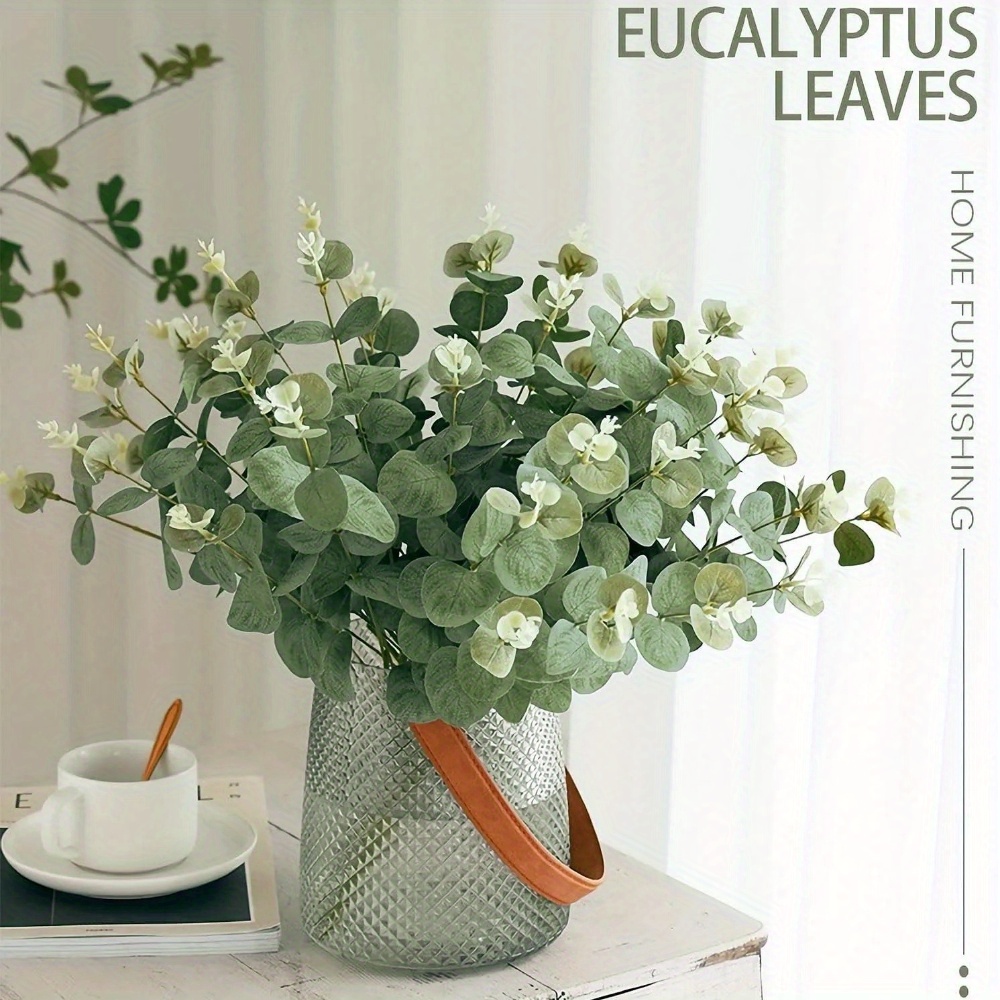 Tiges de feuilles d'eucalyptus - Eucalyptus Preserved avis et prix