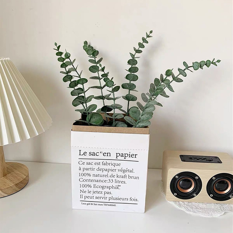 Tiges d'eucalyptus artificiell - Eucalyptus Preserved avis et prix