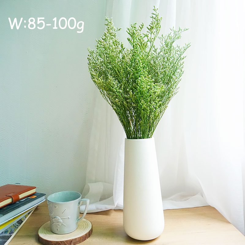50g/Herbe de la Saint-Valentin - Eucalyptus Preserved avis et prix