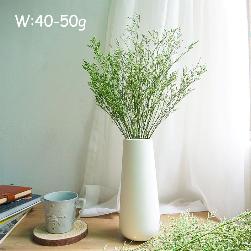 50g/Herbe de la Saint-Valentin - Eucalyptus Preserved avis et prix