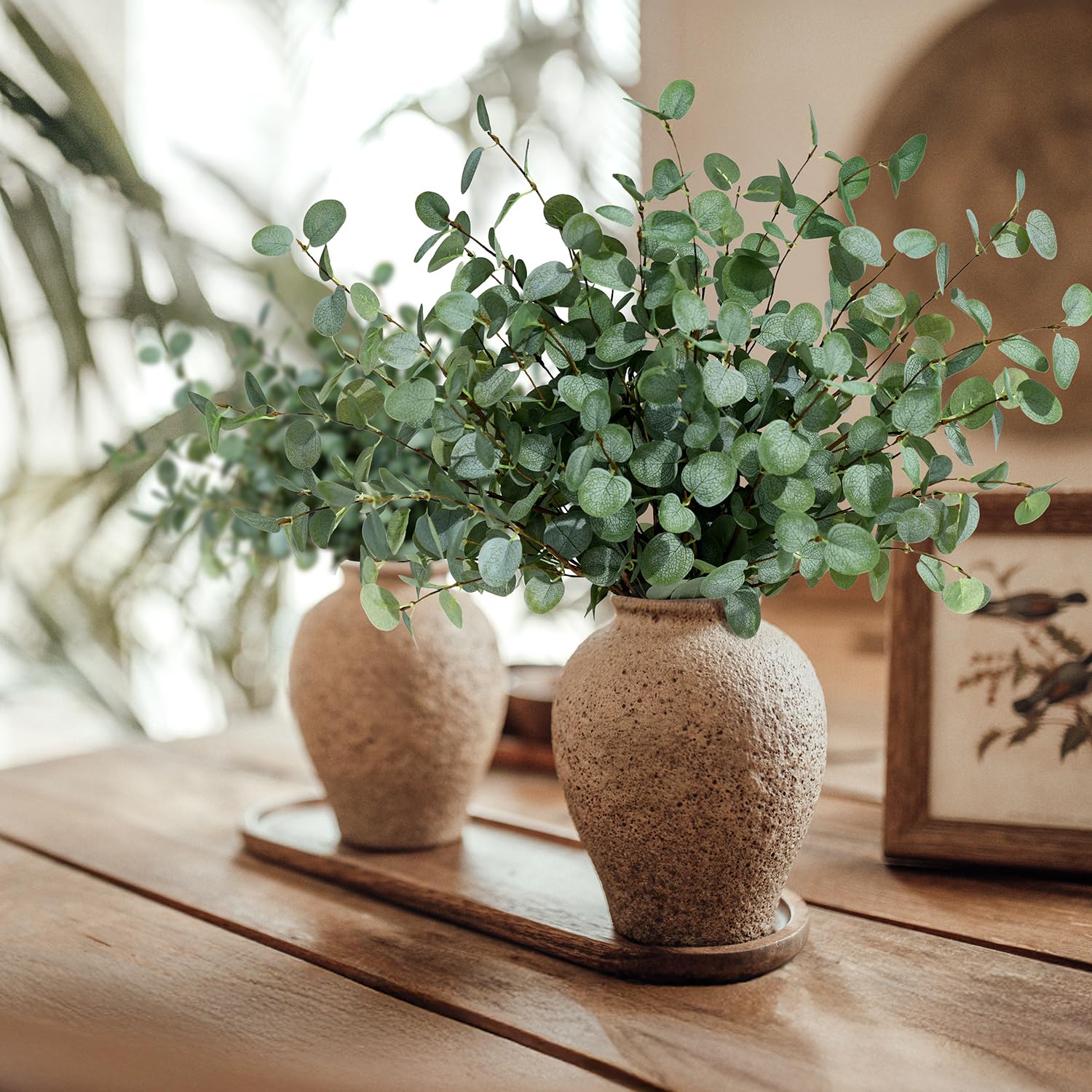 Tiges d'eucalyptus artificiell - Eucalyptus Preserved avis et prix