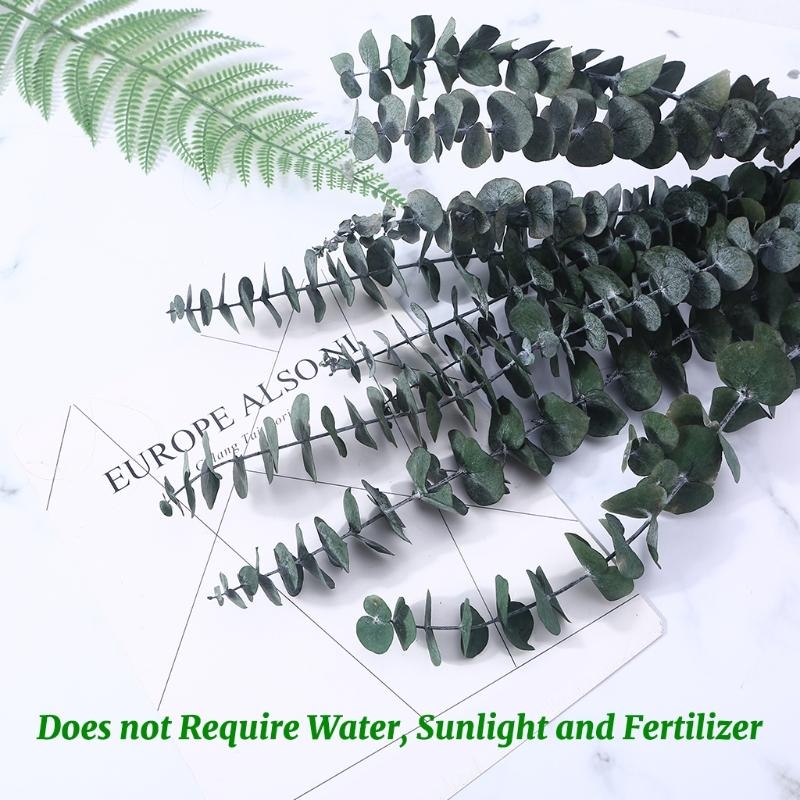Bouquet feuilles plantes conse - Eucalyptus Preserved avis et prix