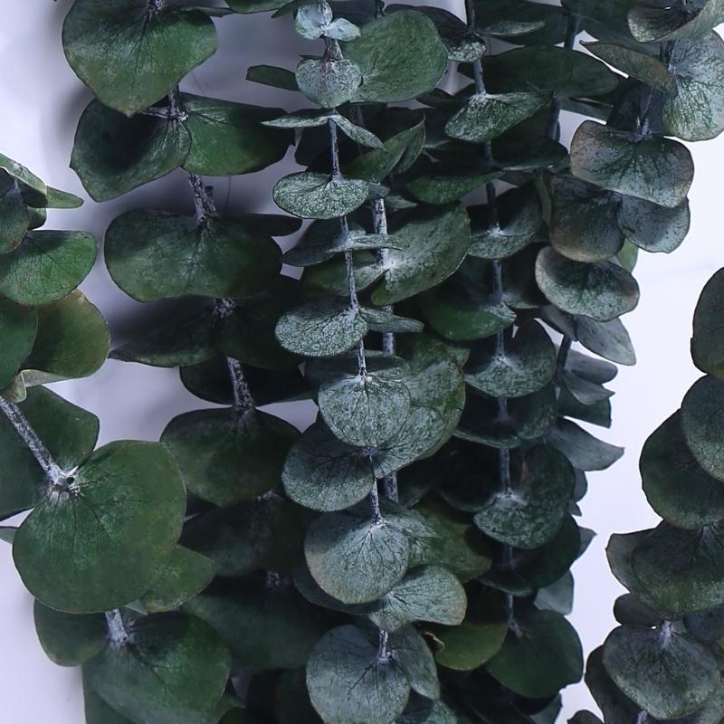 Bouquet feuilles plantes conse - Eucalyptus Preserved avis et prix