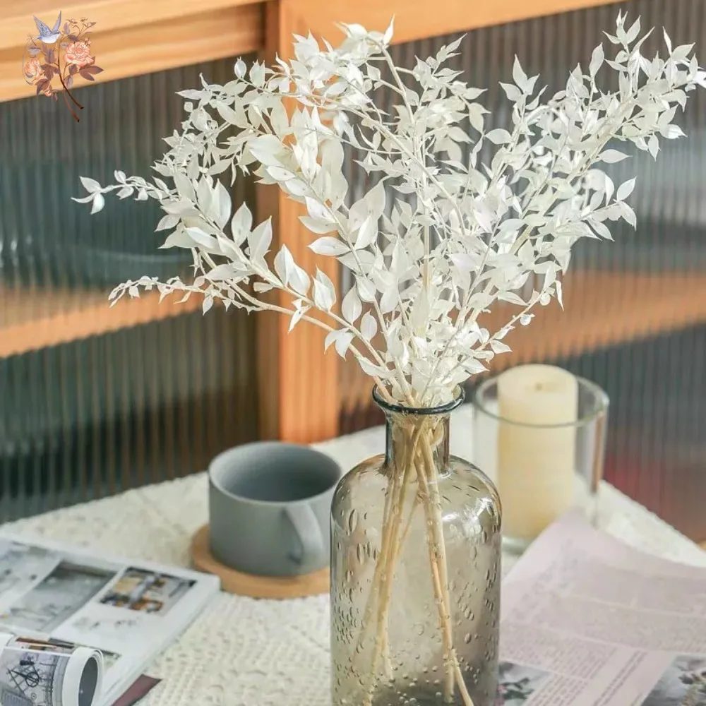 Bouquet de 50g de feuilles d'e - Eucalyptus Preserved avis et prix