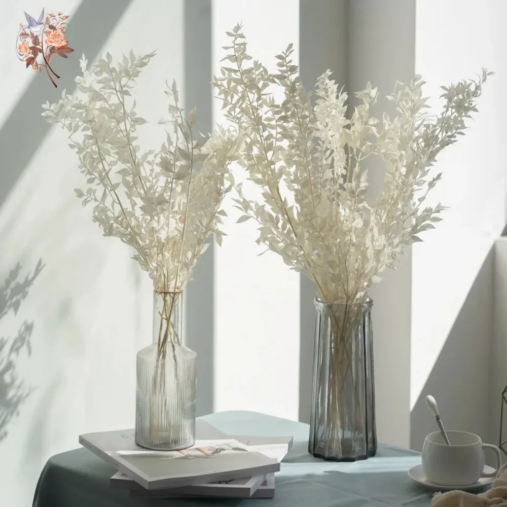 Bouquet de 50g de feuilles d'e - Eucalyptus Preserved avis et prix