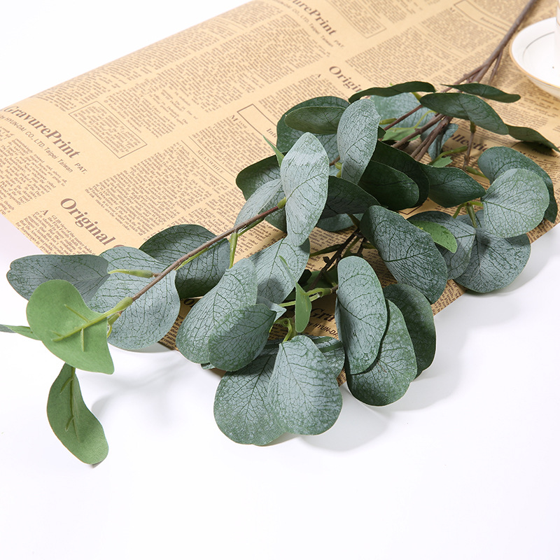 1 branche artificielle d'eucal - Eucalyptus Preserved avis et prix