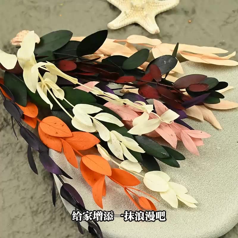 Fleurs séchées conservées pour - Eucalyptus Preserved avis et prix